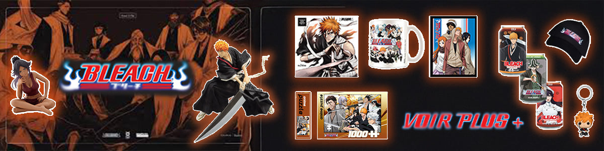 Bleach – L'univers des Shinigami