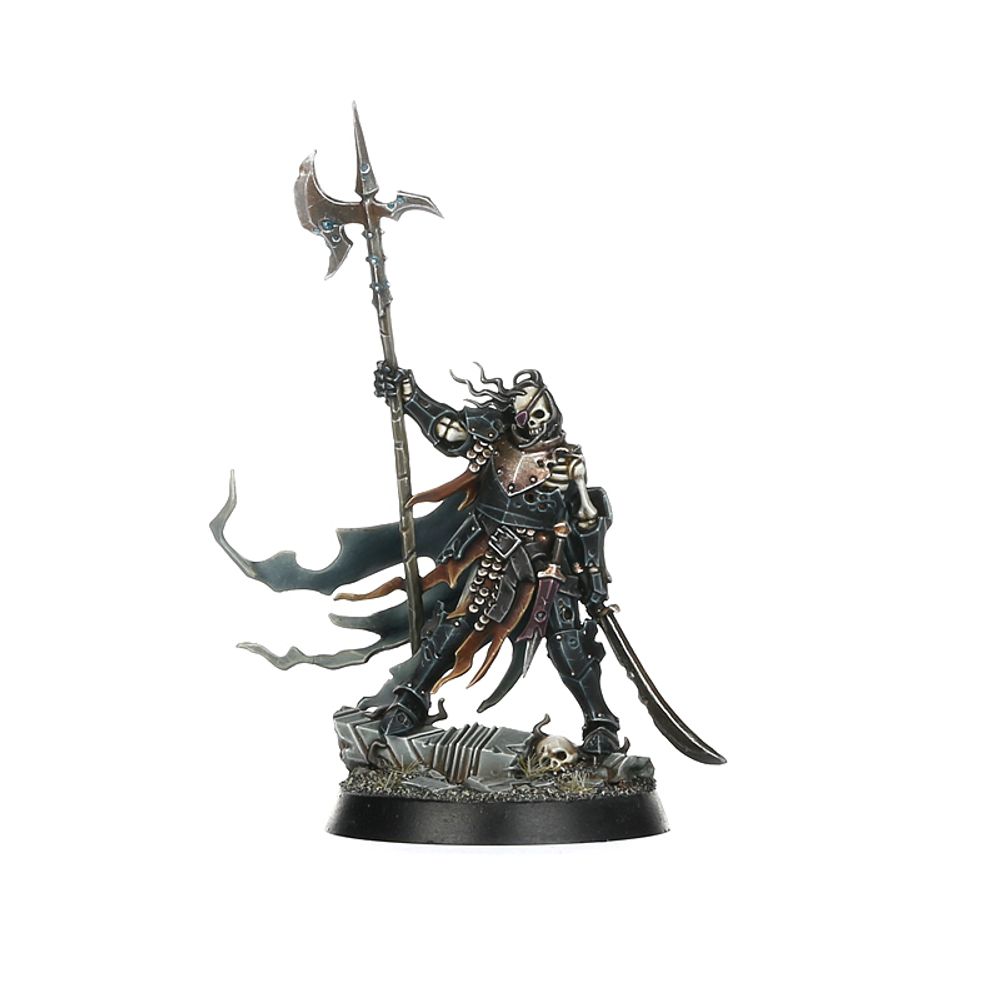 WARHAMMER QUEST: LA CITÉ MAUDITE (FRA) - flash vidéo