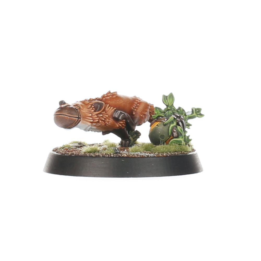 BLOOD BOWL: GNOME TEAM - flash vidéo
