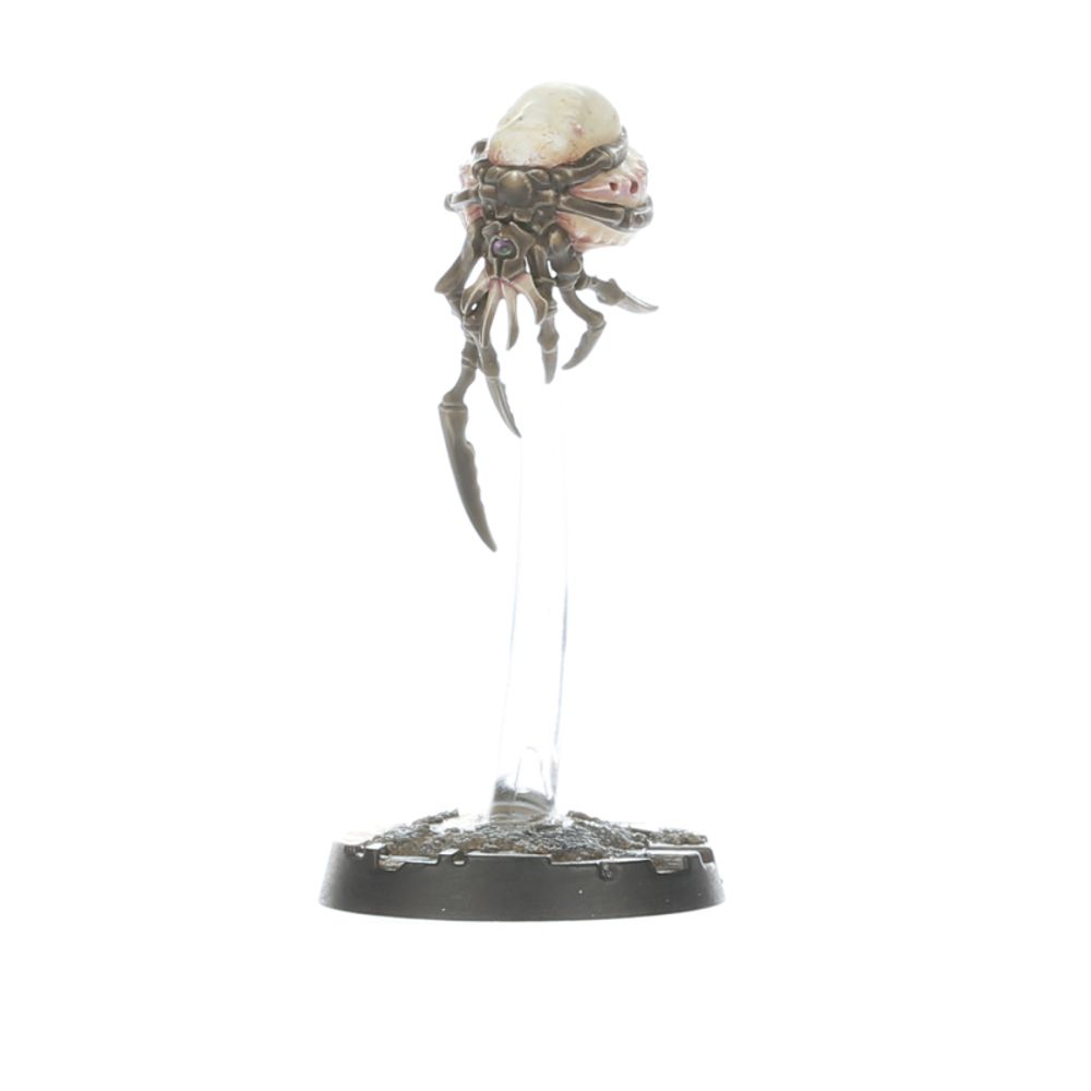 MALSTRAIN GENESTEALER ABOMINATION GANG - flash vidéo