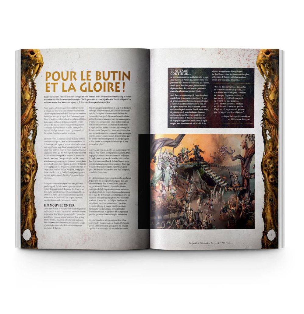 WARCRY LIVRE DE BASE (FRANCAIS) - flash vidéo