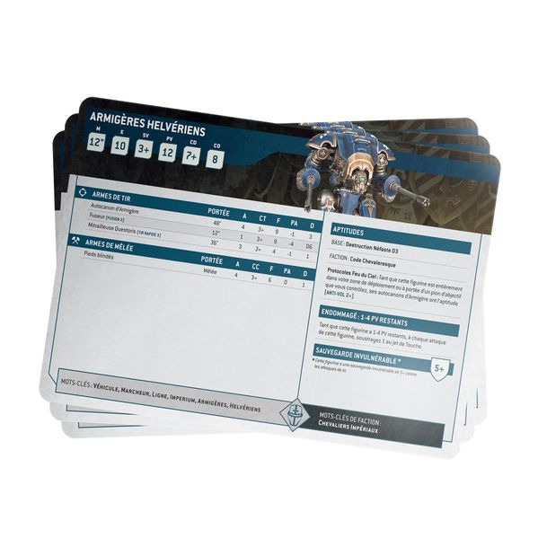 INDEX CARDS: KNIGHT HOUSEHOLDS (FRA) - flash vidéo