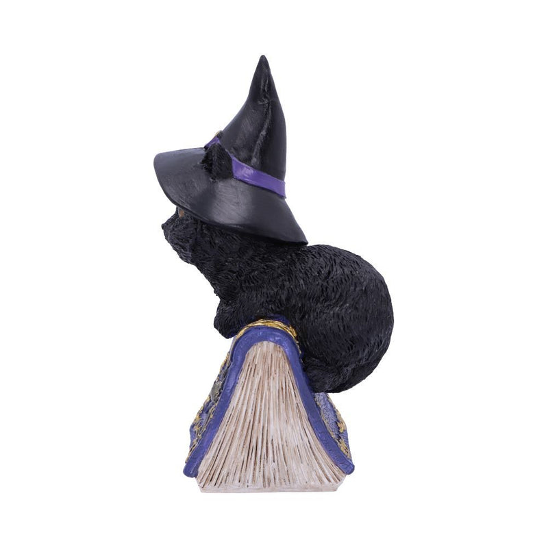 Figurine de collection Pocus 12.7cm