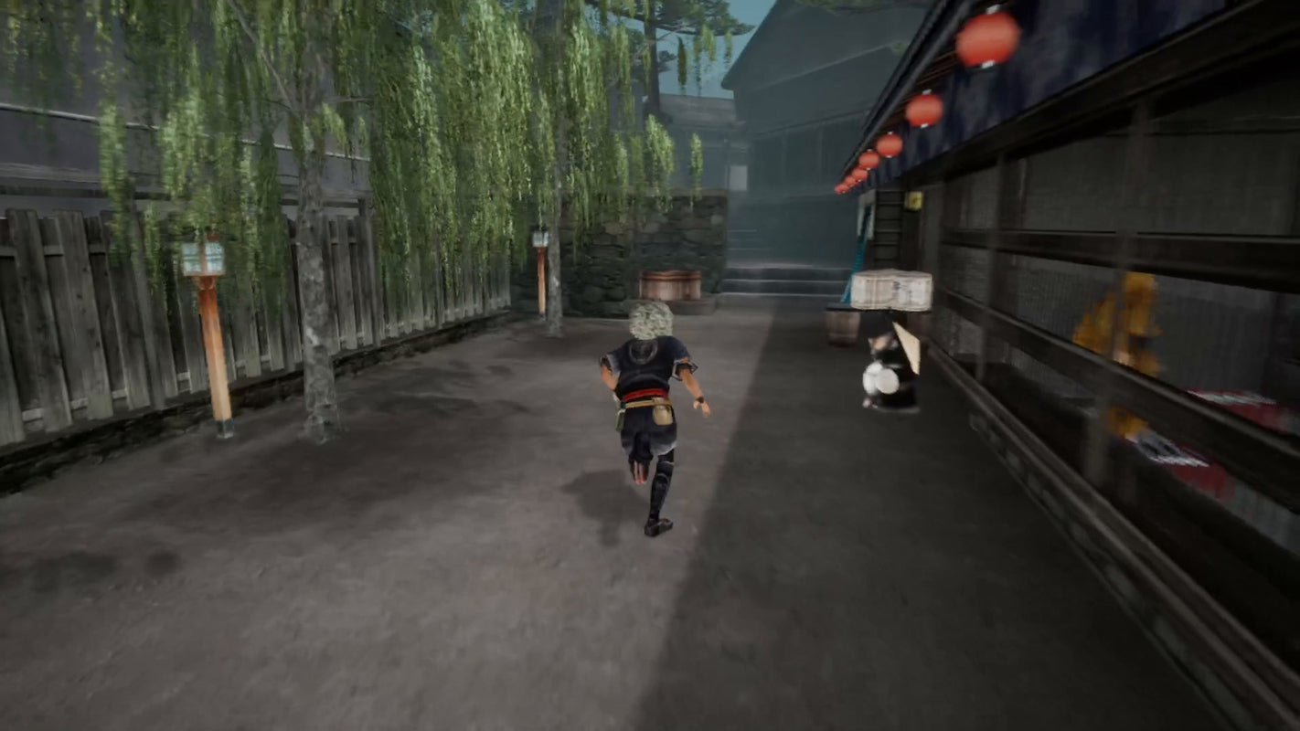 Kamiwaza : Way of the Thief