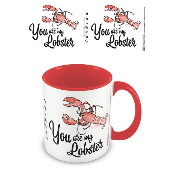 Warner Bros - Friends - Mug "You Are My Lobster" 315ml - flash vidéo