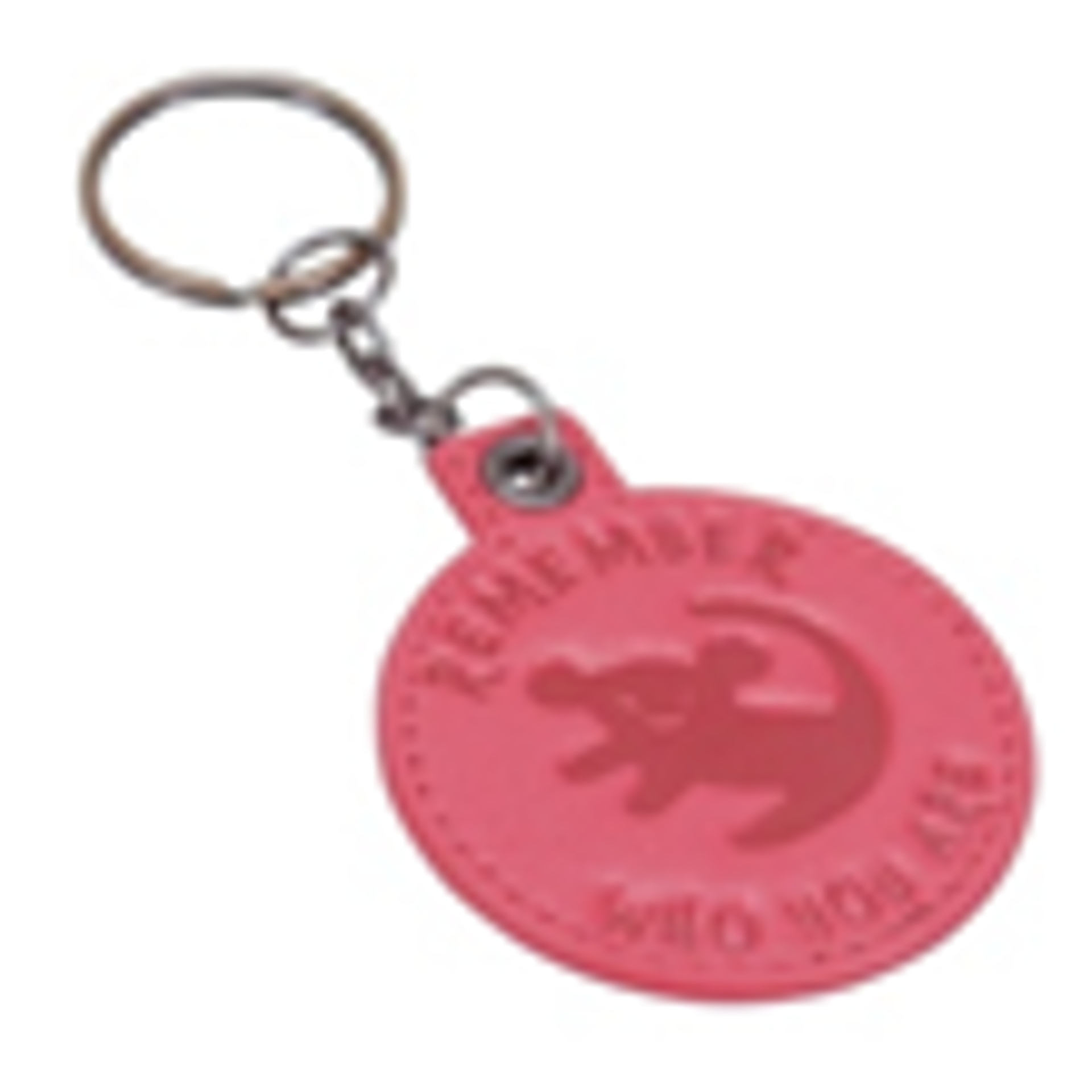 Disney - The Lion King Remember Keyring - flash vidéo