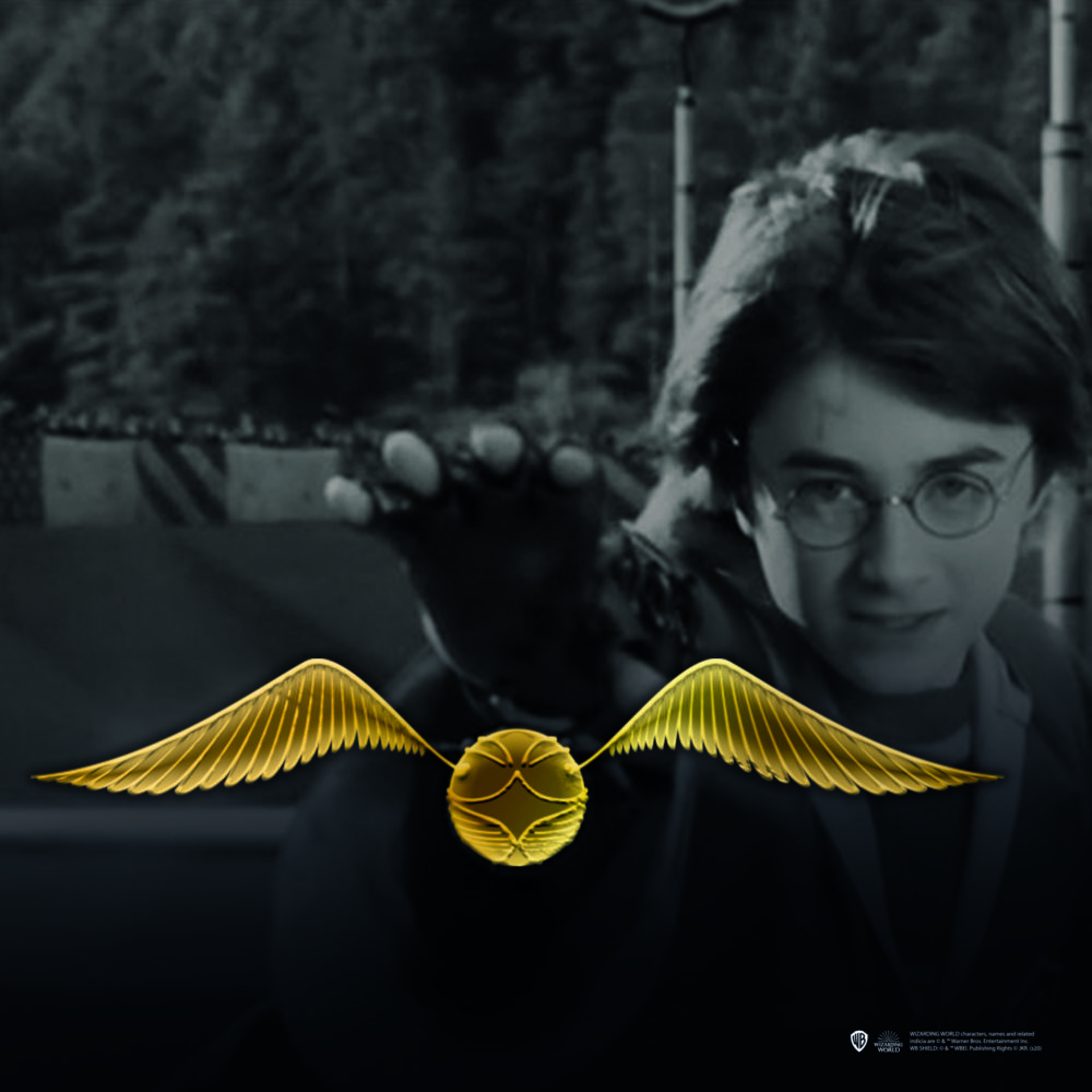 Wizarding World - Harry Potter - Pin's - Vif d'or - flash vidéo