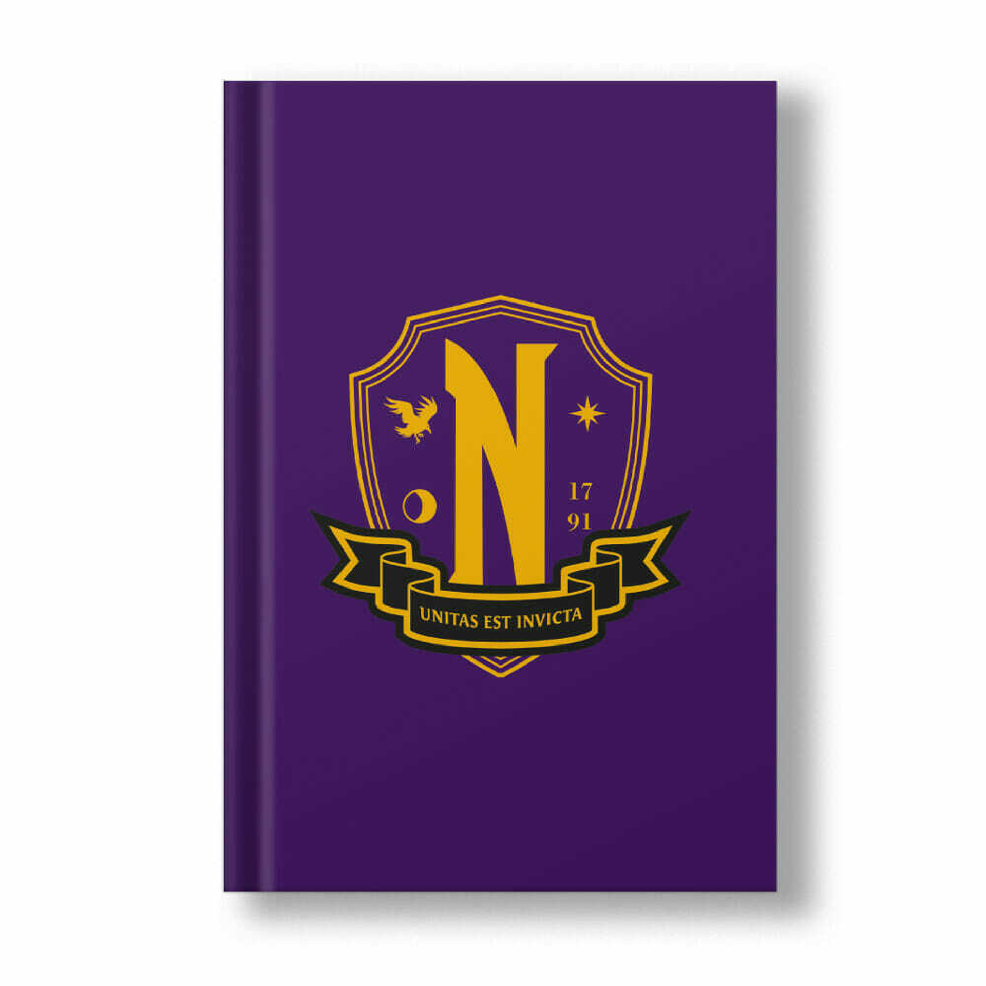 Netflix - Mercredi - Cahier A5 - Nevermore - flash vidéo