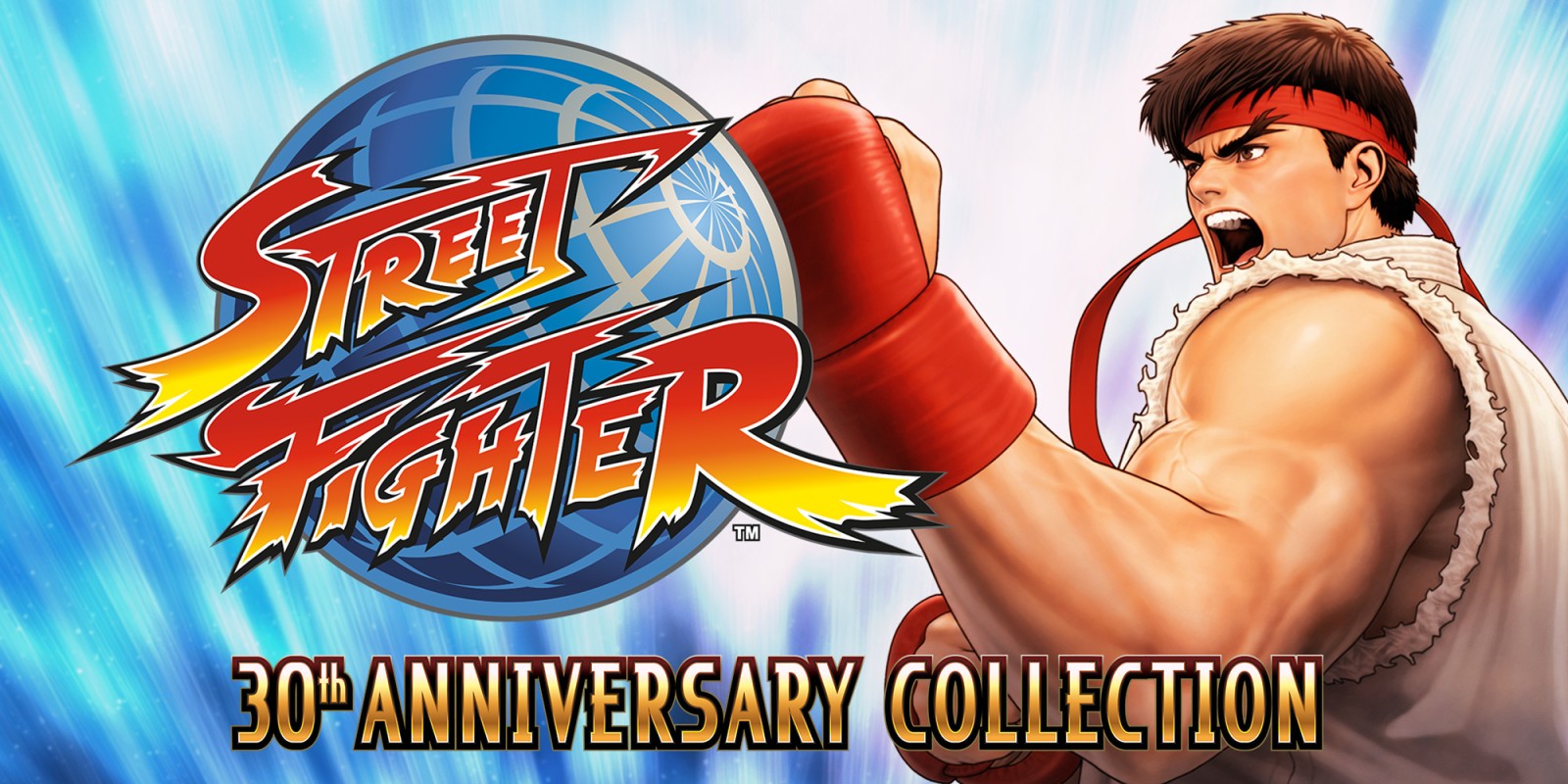Street Fighter - 30th Anniversary Collection (Code-in-a-Box) - flash vidéo