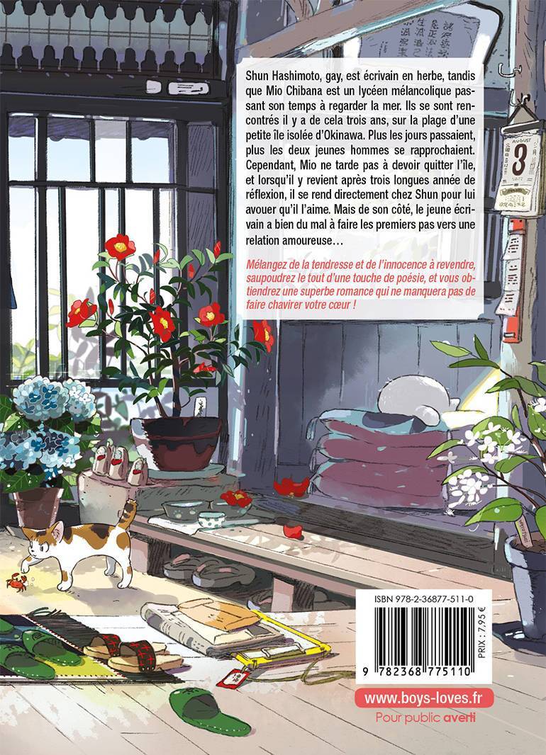 L'étranger de la plage - Livre (Manga) - Yaoi - Hana Collection