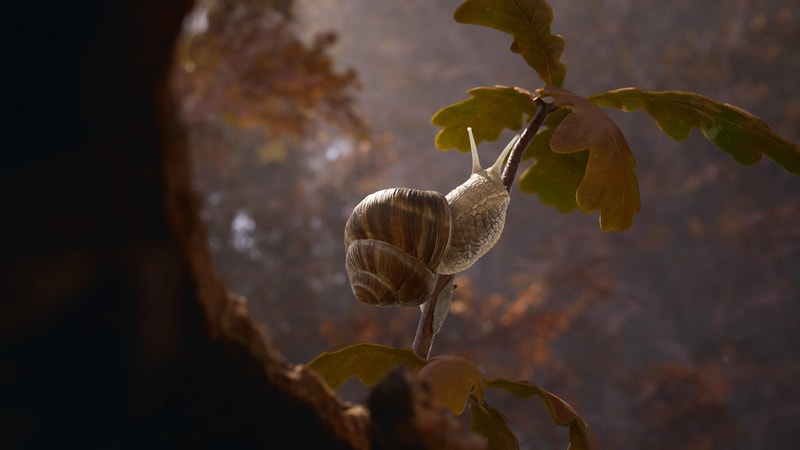 Empire of the Ants - Limited Edition - flash vidéo