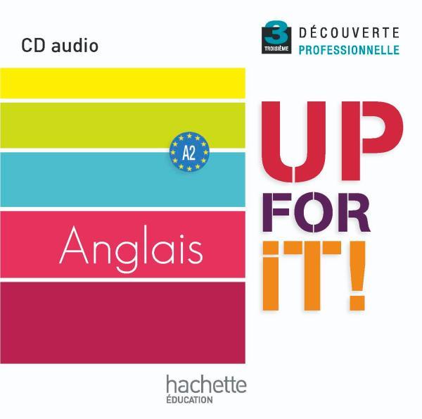 UP FOR IT! : anglais ; 3ème ; découverte professionnelle (édition 2010)