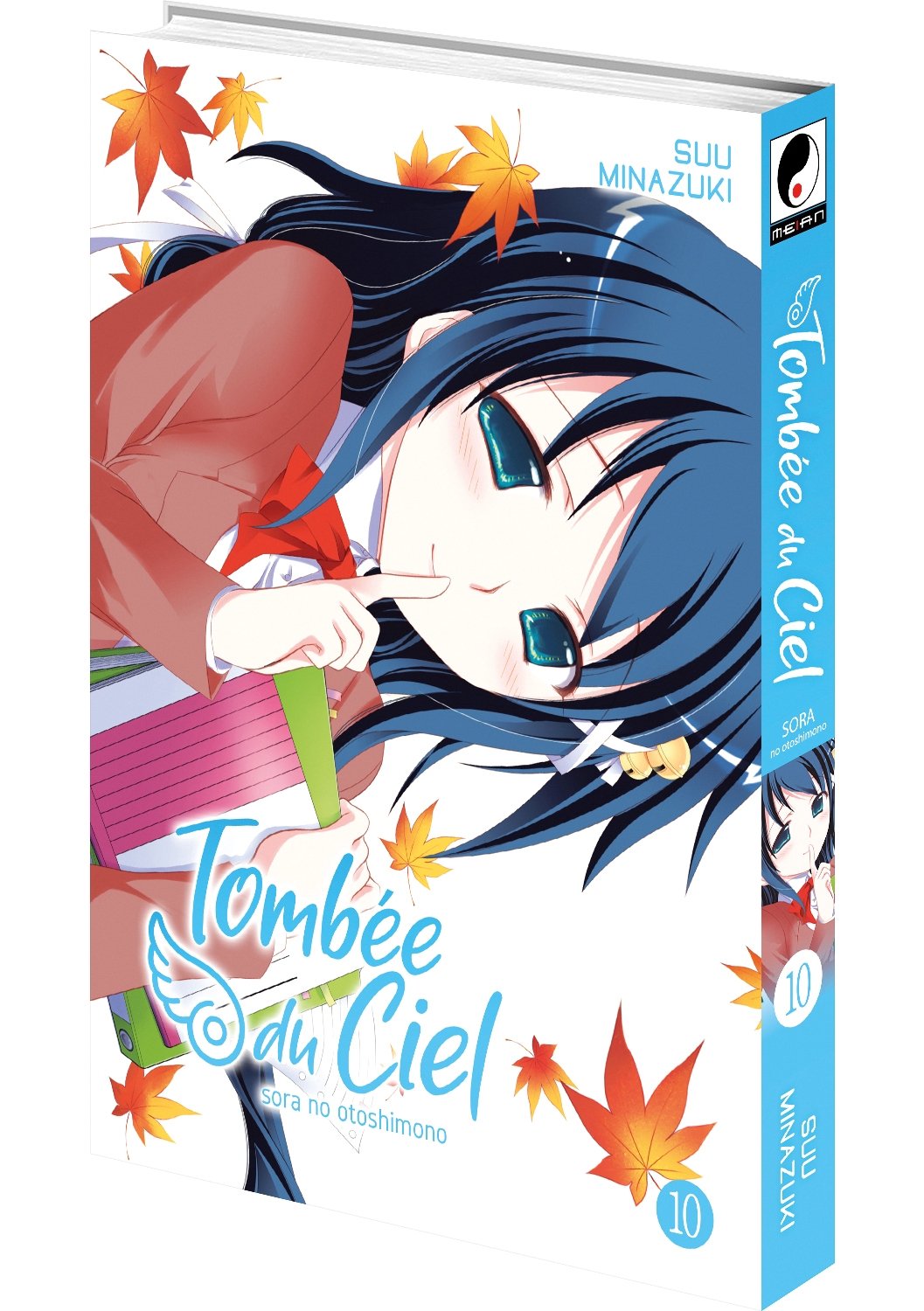 Tombée du Ciel - Tome 10 - Livre (Manga)