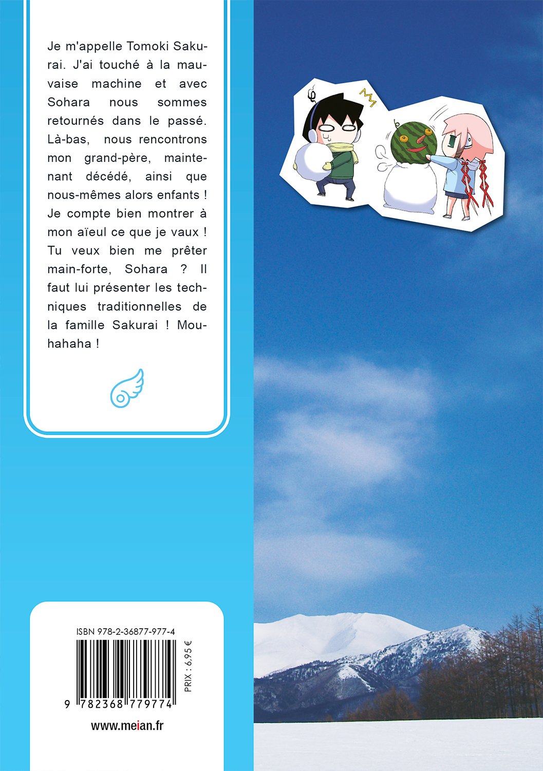 Tombée du Ciel - Tome 17 - Livre (Manga)