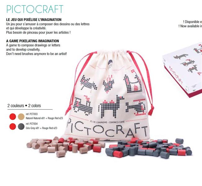 Pictocraft - flash vidéo
