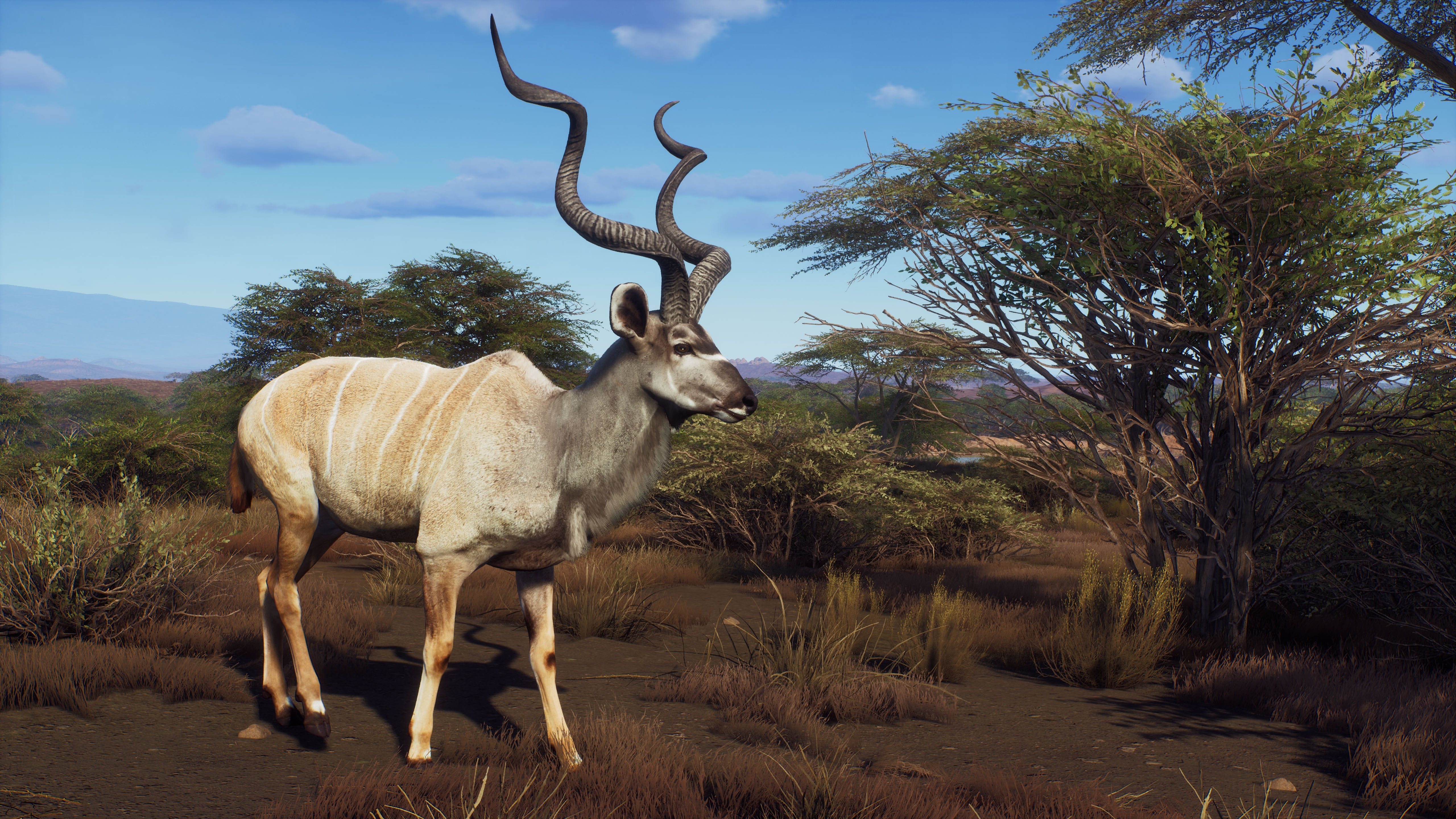 Way of the Hunter - Wild Expeditions - flash vidéo