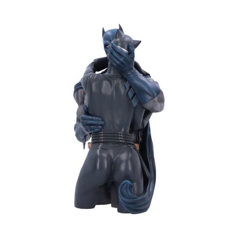 Nemesis Now - DC Comics - Buste de Batman et Catwoman 30cm - flash vidéo