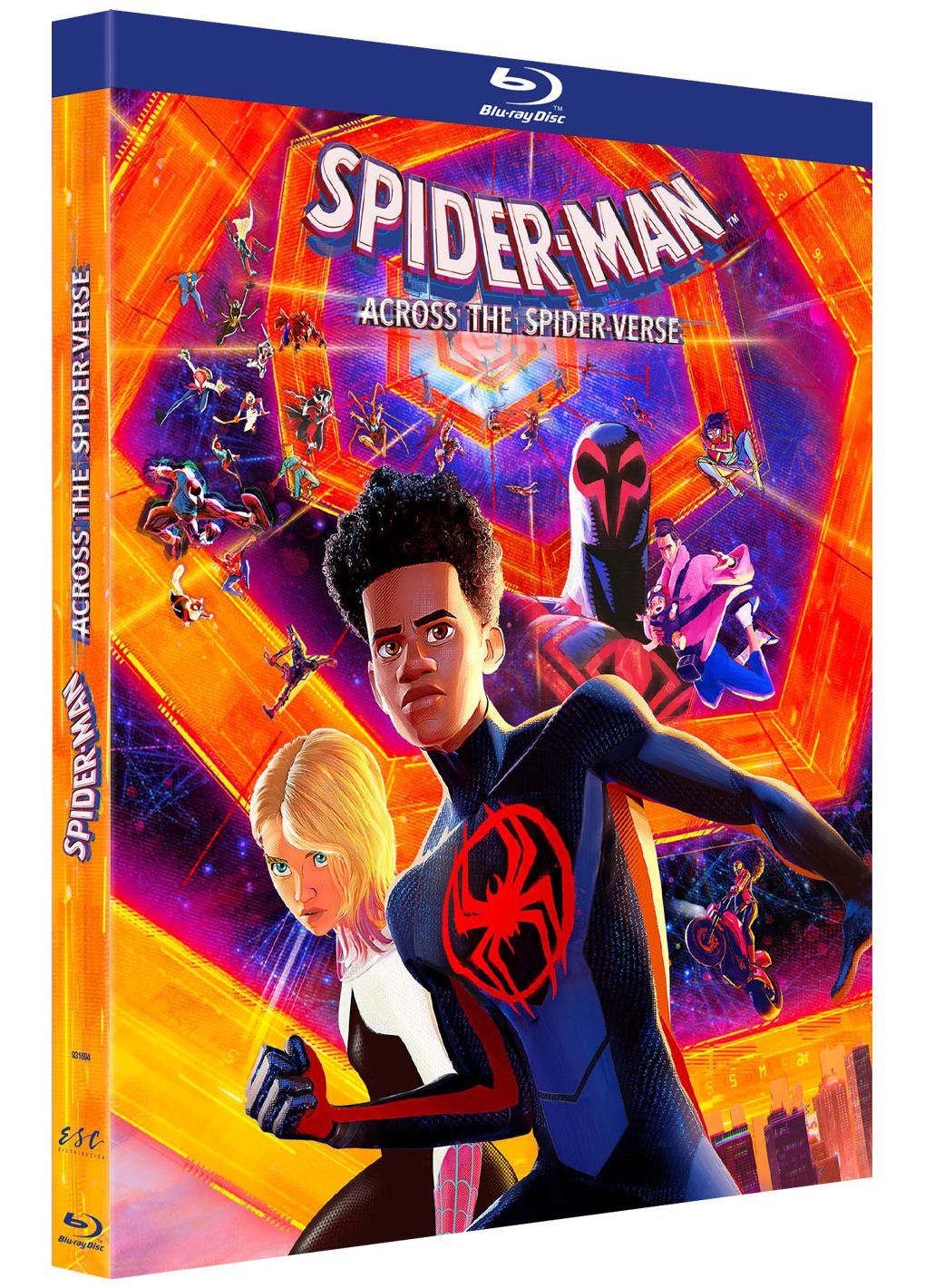 Spider-Man : Across the Spider-Verse [DVD/Blu-ray à la location]