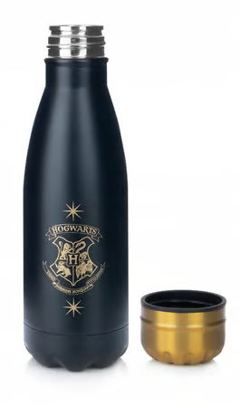 Harry Potter - Bouteille d'eau en métal "Vif d'Or" 550ml