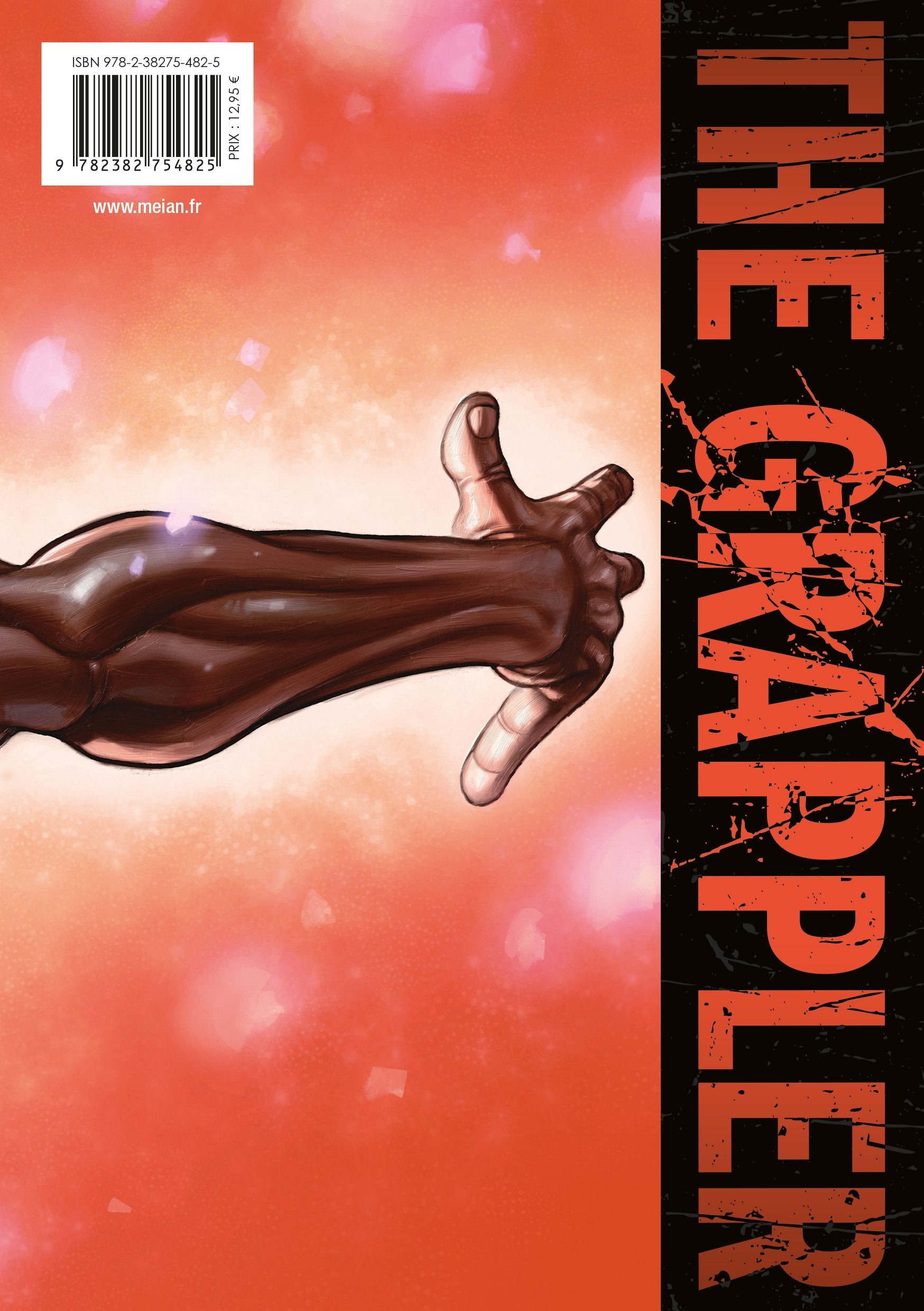 Baki the Grappler - Tome 17 - Perfect Edition - Livre (Manga)