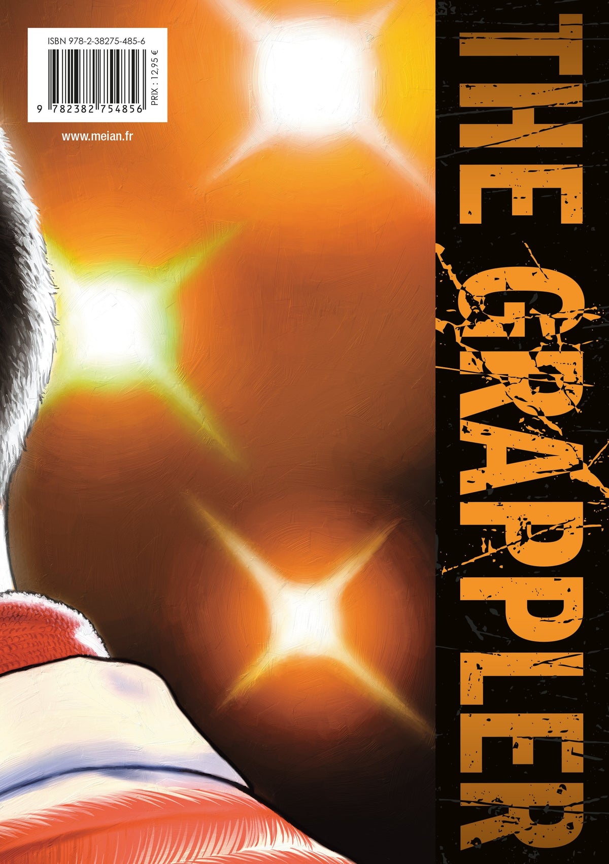 Baki the Grappler - Tome 20 - Perfect Edition - Livre (Manga)