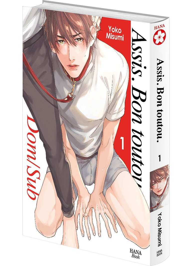Assis. Bon toutou - Tome 01 - Livre (Manga) - Yaoi - Hana Book