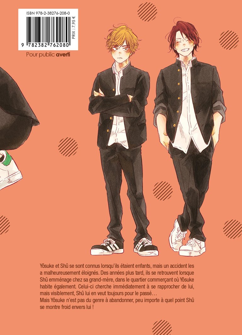 Notre Chemin - Livre (Manga) - Yaoi - Hana Collection