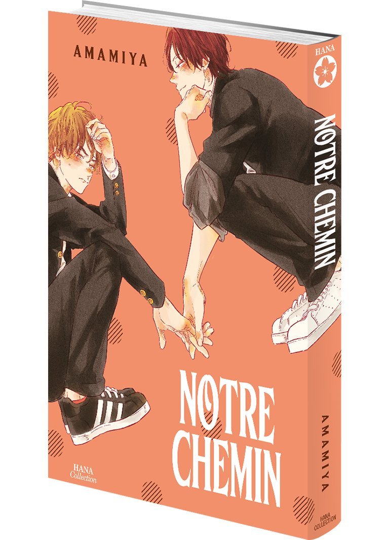 Notre Chemin - Livre (Manga) - Yaoi - Hana Collection
