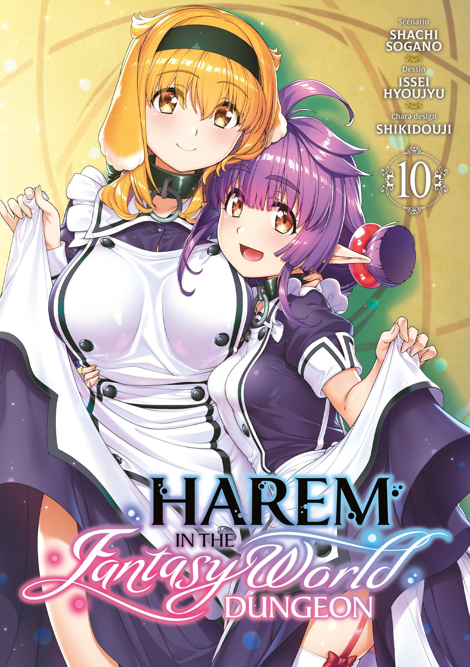 Harem in the Fantasy World Dungeon - Tome 10 - Livre (Manga)