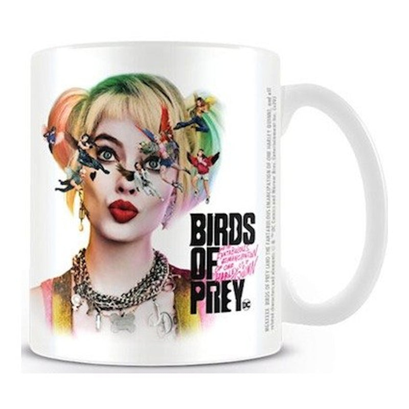 Birds Of Prey - Seeing Stars Coffee Mug 315ml