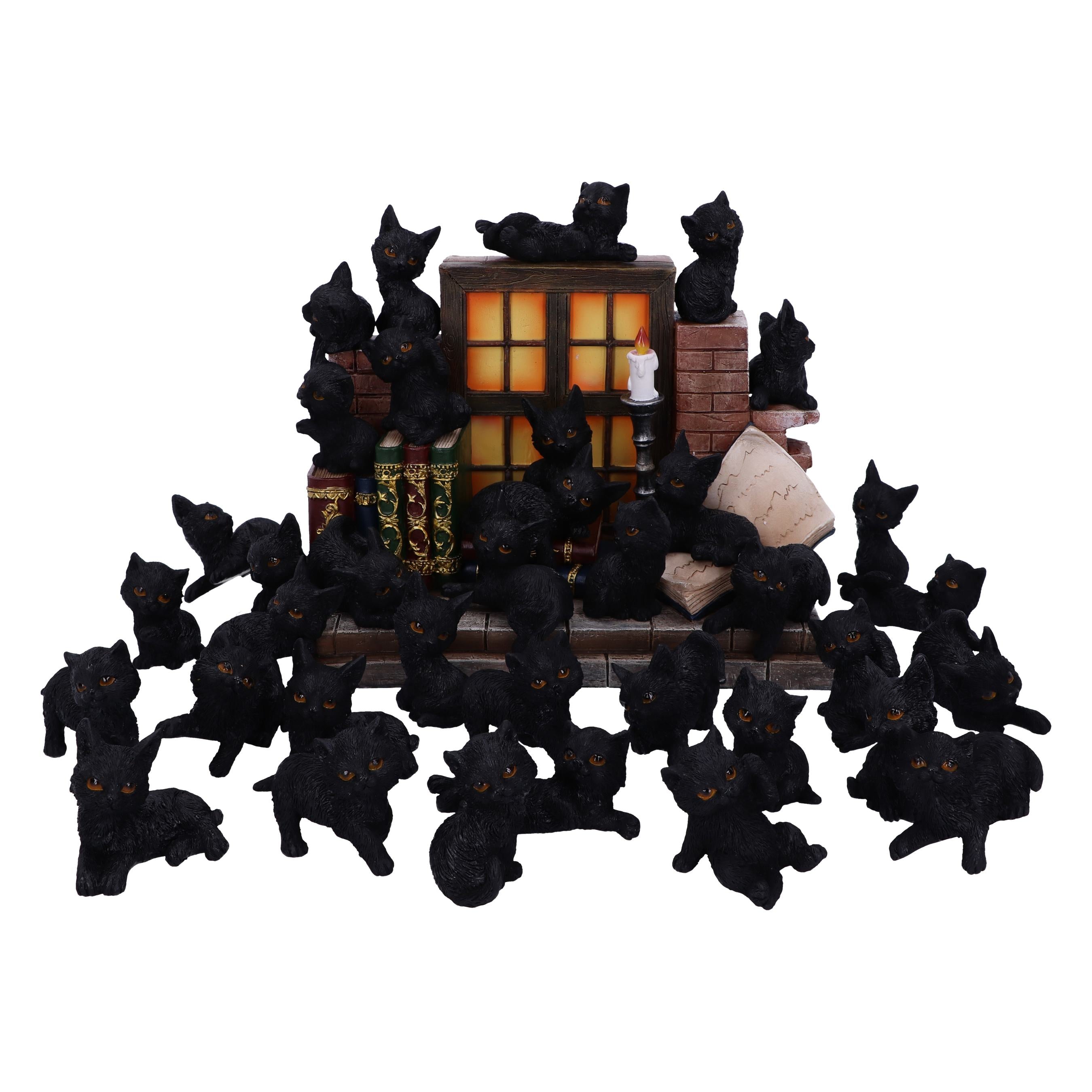 The Witches Litter - Display de 36 chats noirs familiers avec un support décoré 24.8cm