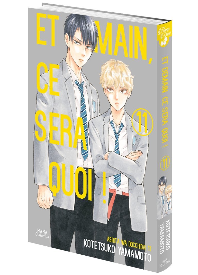 Et demain ce sera quoi ! - Tome 11 - Livre (Manga) - Yaoi - Hana Collection