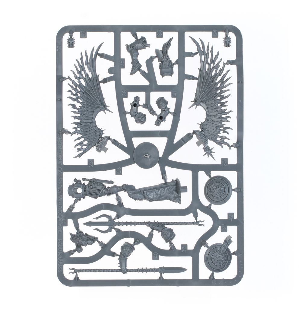 AGE OF SIGMAR: RAZ-DE-SKAVENS (FRANCAIS) - flash vidéo