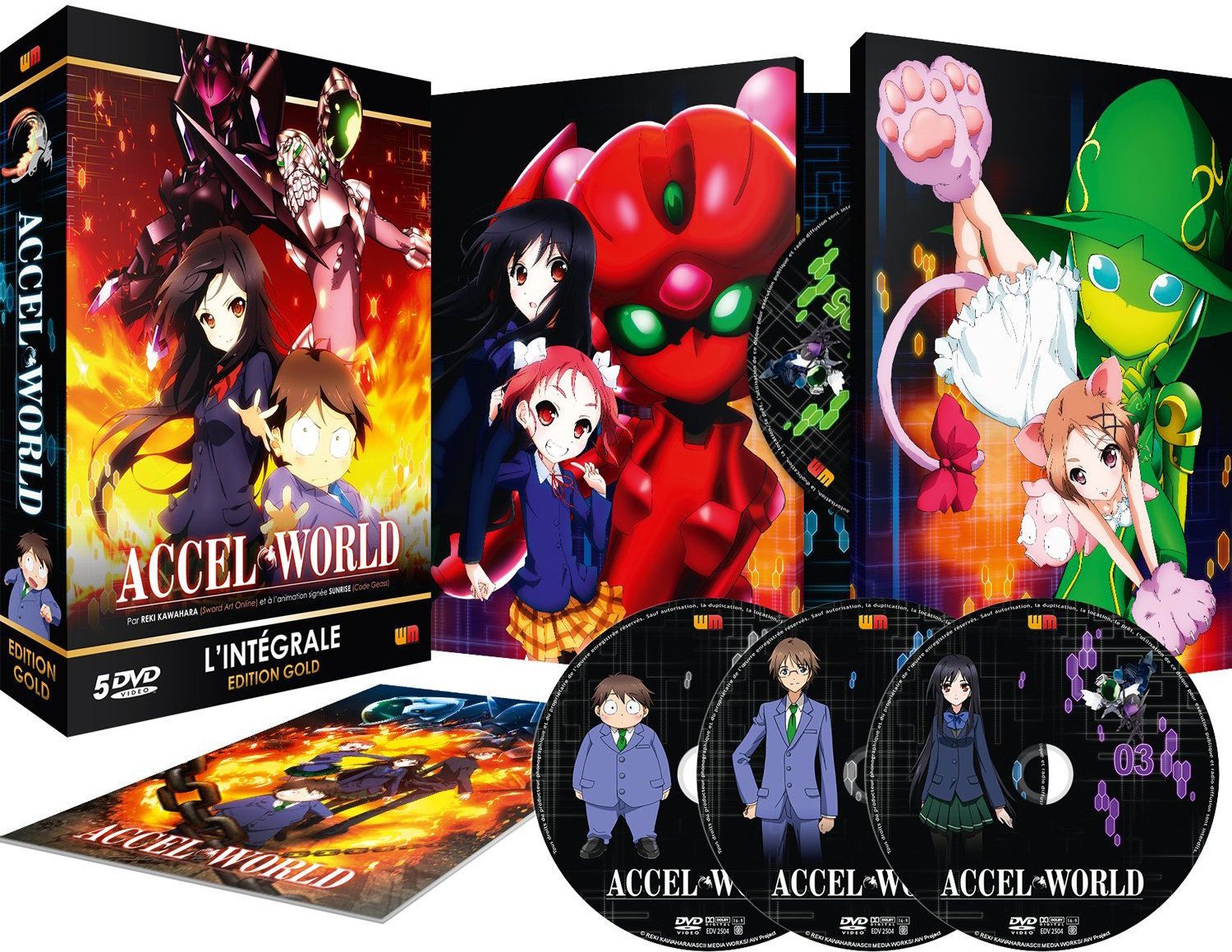 Accel World - Intégrale - Coffret DVD + Livret - Edition Gold