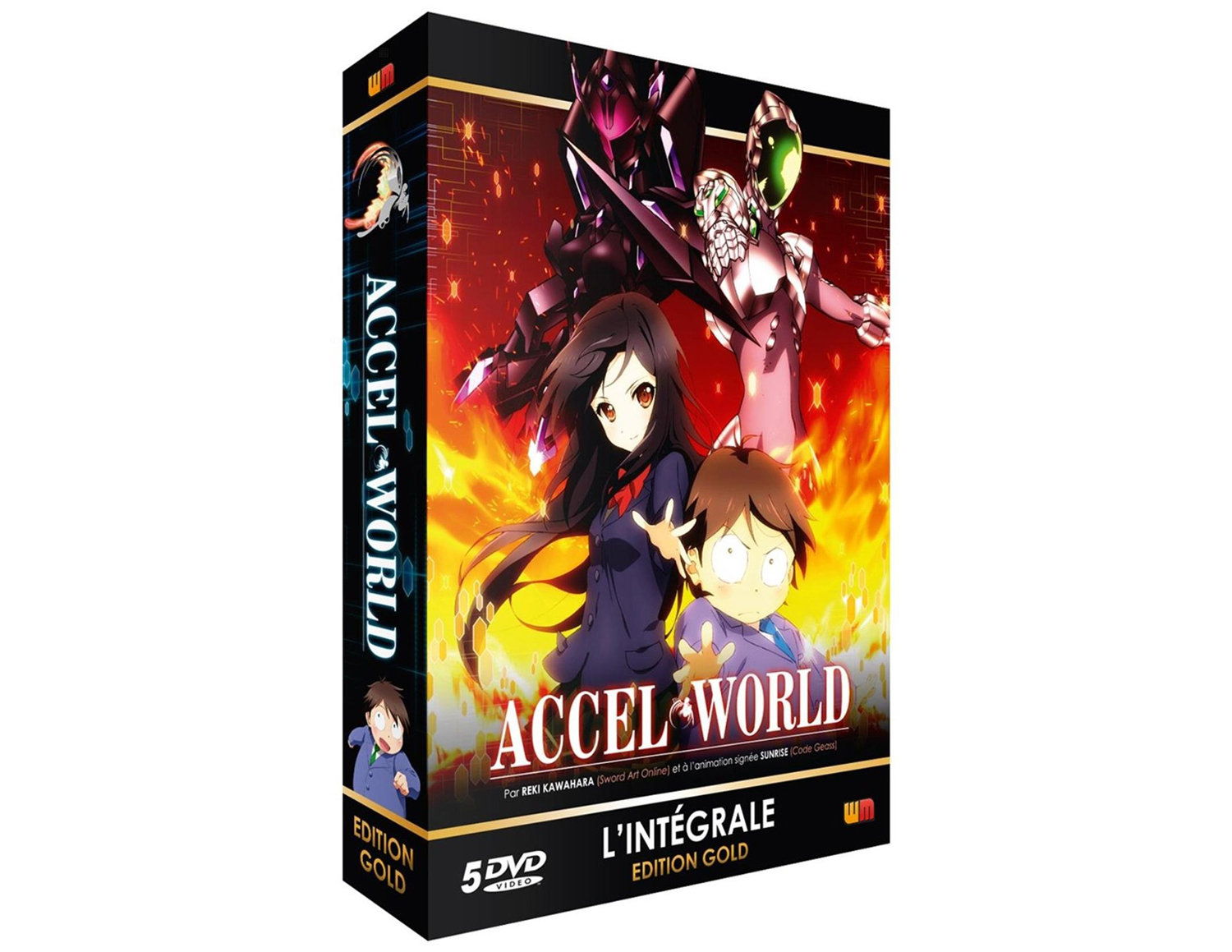 Accel World - Intégrale - Coffret DVD + Livret - Edition Gold