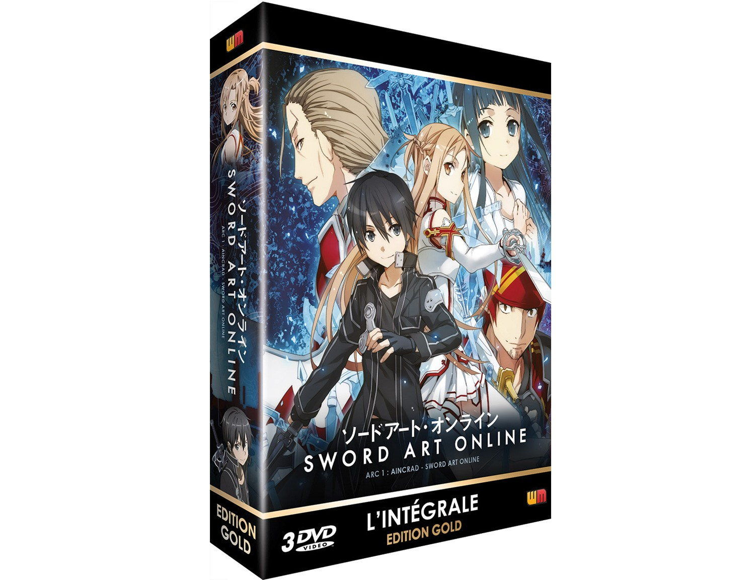 Sword Art Online - Arc 1 (SAO) - Coffret DVD + Livret - Edition Gold