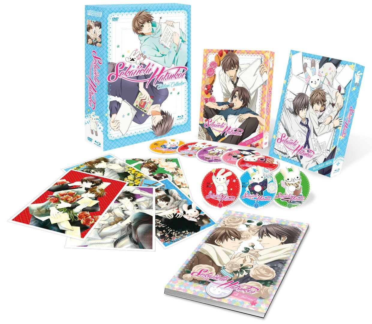 Sekaiichi Hatsukoi - Intégrale + 2 OAV - Edition Collector Limitée - Coffret format A4 Combo Blu-ray + DVD