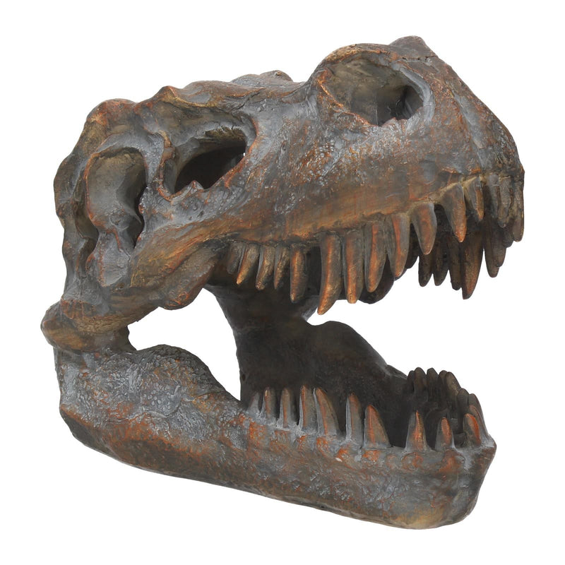 Tyrannosaurus Rex Skull Freestanding 16cm