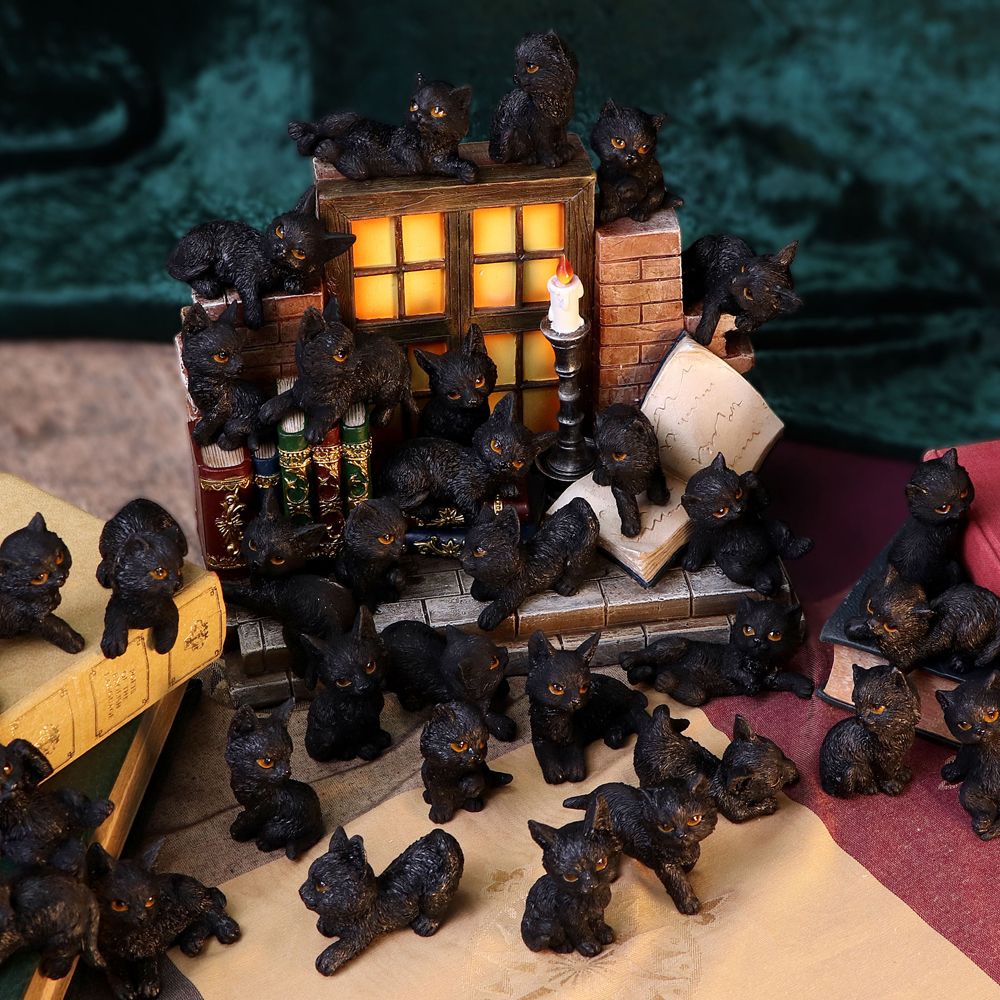 The Witches Litter - Display de 36 chats noirs familiers avec un support décoré 24.8cm