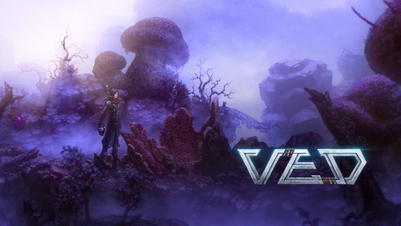 VED - flash vidéo