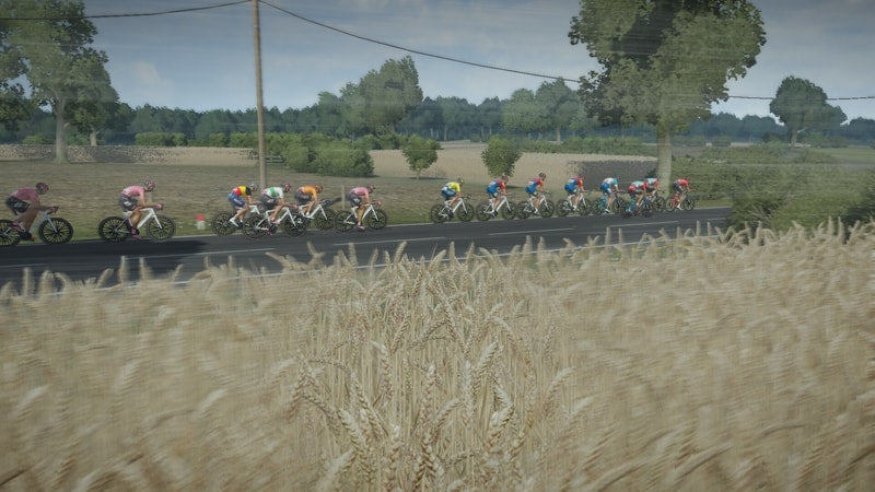 Pro Cycling Manager 2024 - flash vidéo