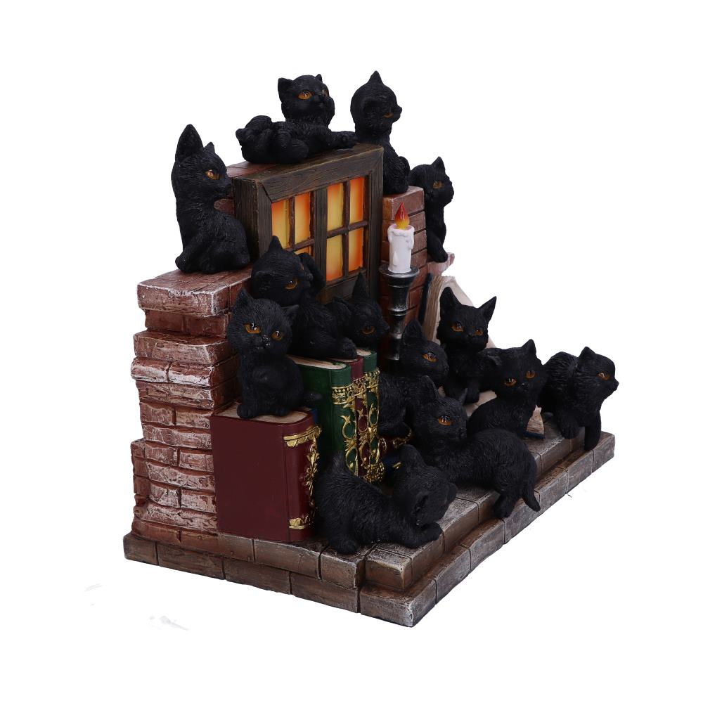 The Witches Litter - Display de 36 chats noirs familiers avec un support décoré 24.8cm