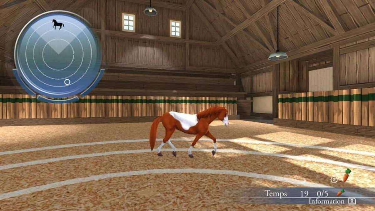 Ma Vie avec les Chevaux 2: Une Nouvelle Aventure