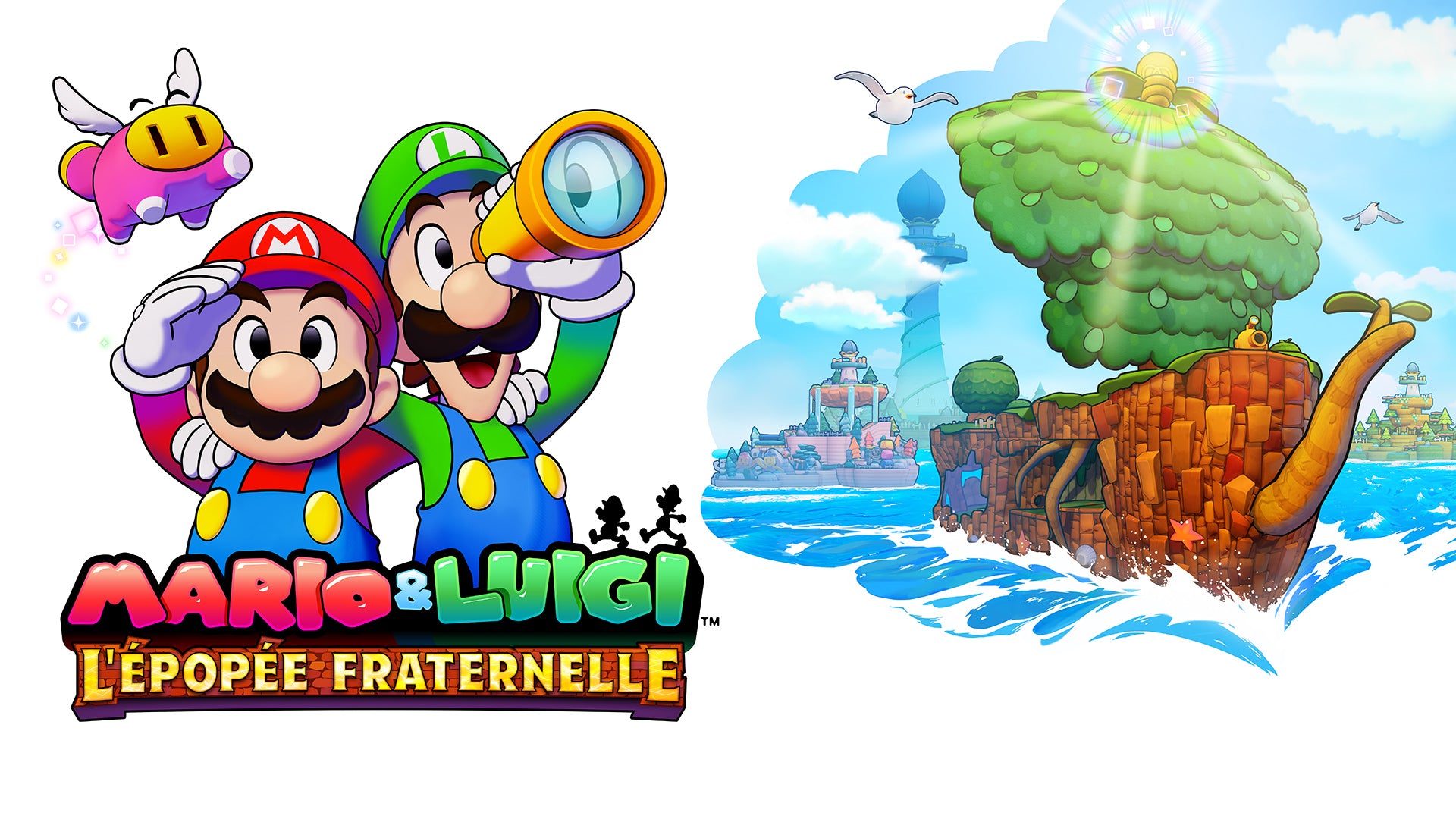 Mario & Luigi : L'épopée fraternelle - flash vidéo