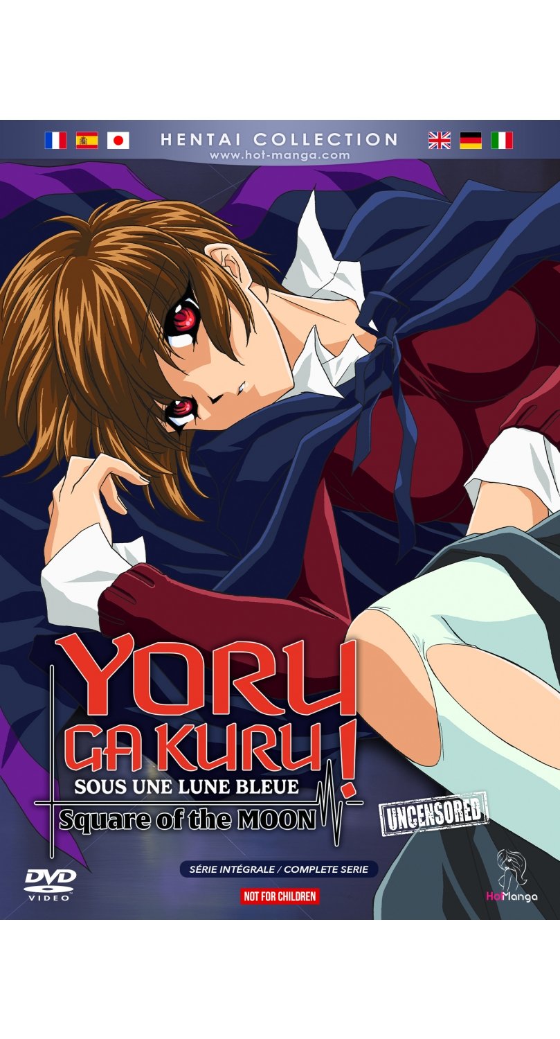 Yoru ga Kuru! - Square Of The Moon (Sous une lune bleue) - Intégrale (Hentai) - DVD