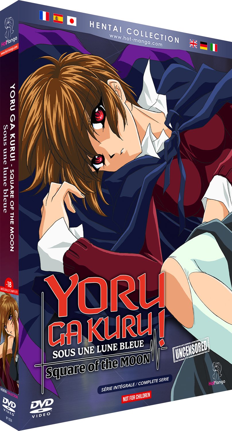 Yoru ga Kuru! - Square Of The Moon (Sous une lune bleue) - Intégrale (Hentai) - DVD