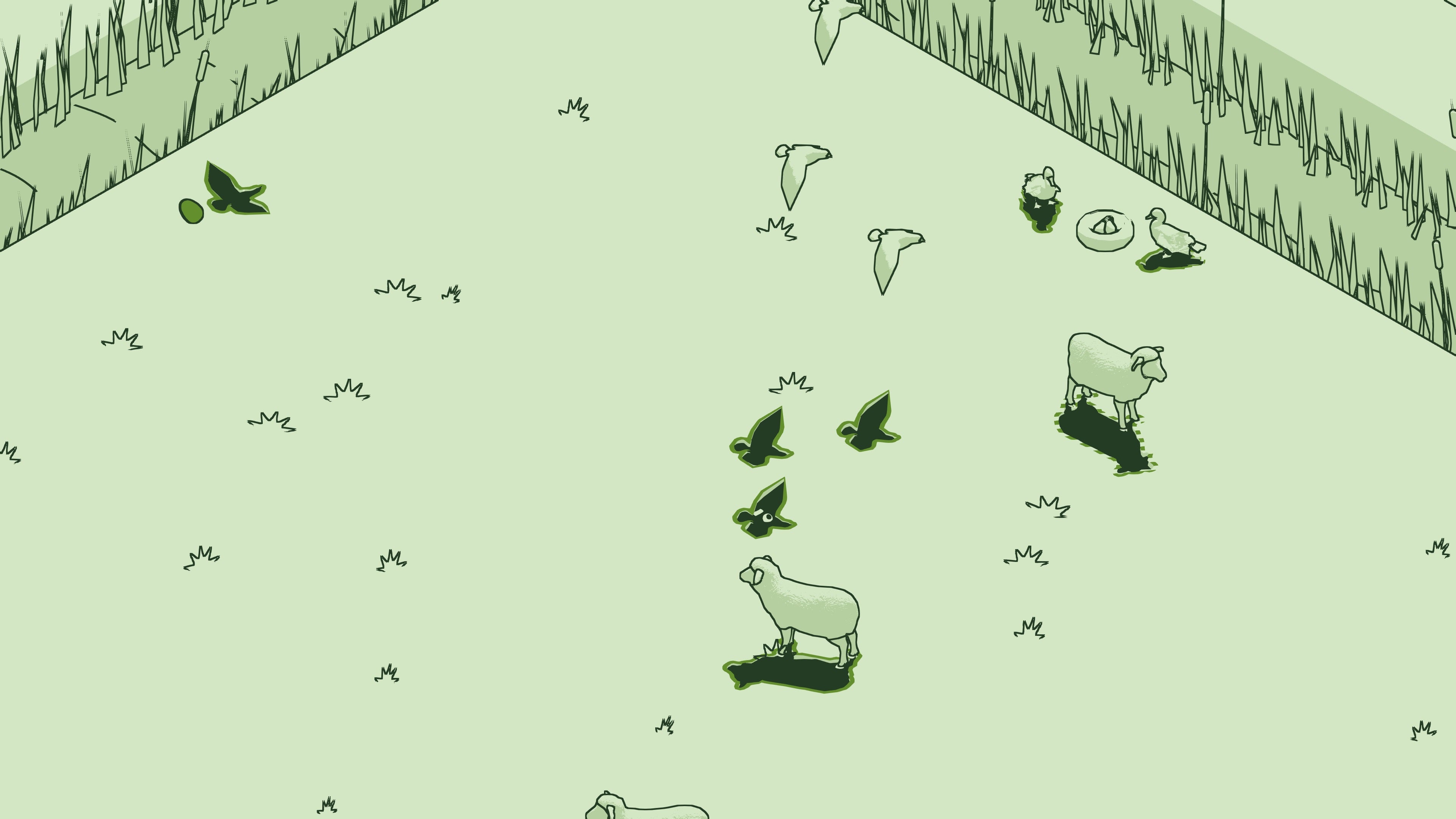 SCHiM - flash vidéo