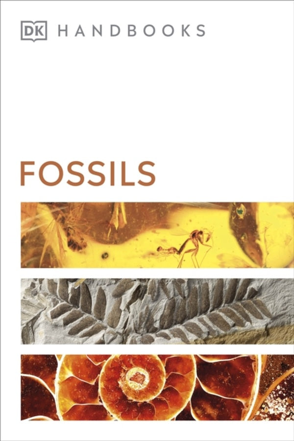 FOSSILS