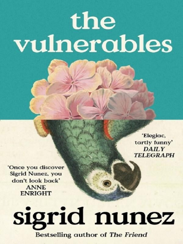 The Vulnerables : 'As funny as it is painfully honest' (Paula Hawkins)