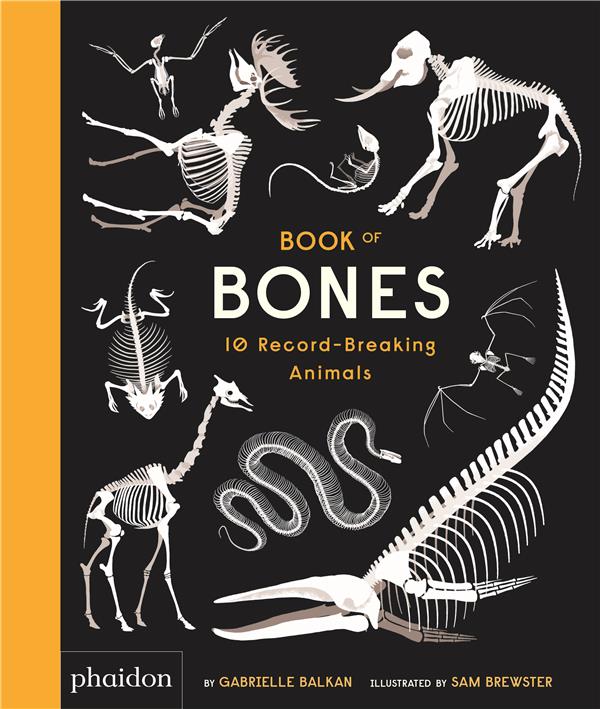 Book of bones - flash vidéo